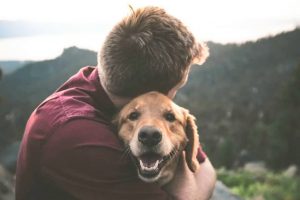 Love your dog | goodness for pets