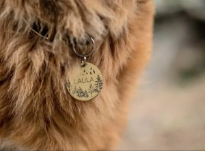 Dog tag | goodness for pets